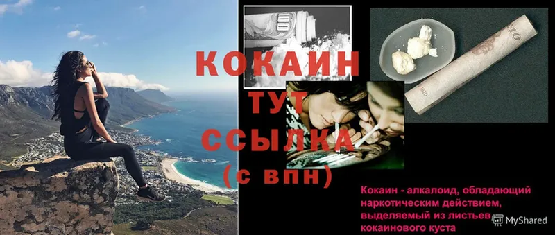 наркошоп  это какой сайт  COCAIN Fish Scale  Магадан 